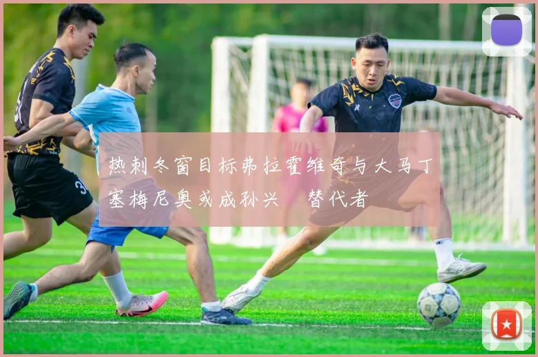 热刺冬窗目标弗拉霍维奇与大马丁塞梅尼奥或成孙兴慜替代者