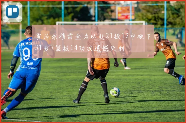 贾马尔穆雷全力以赴21投12中砍下31分7篮板14助攻遗憾失利