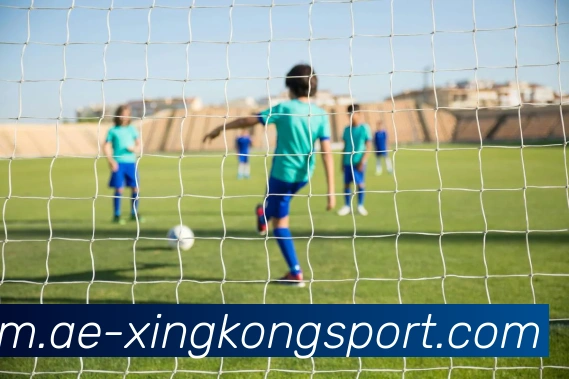 星空足球平台生态图